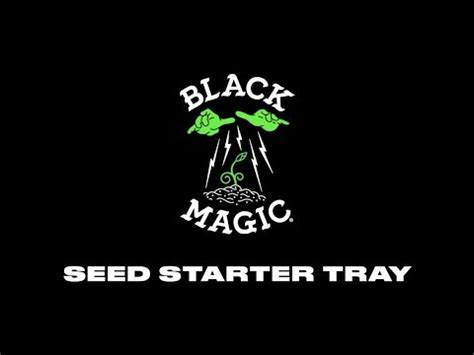 Unraveling the Ancient Alchemy behind the Black Magic Seed